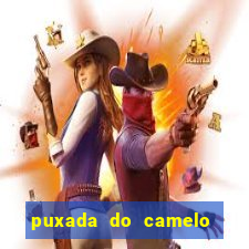 puxada do camelo no jogo do bicho