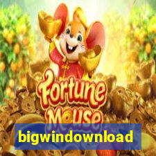 bigwindownload
