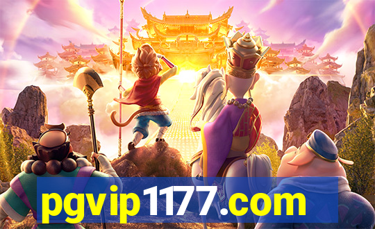 pgvip1177.com