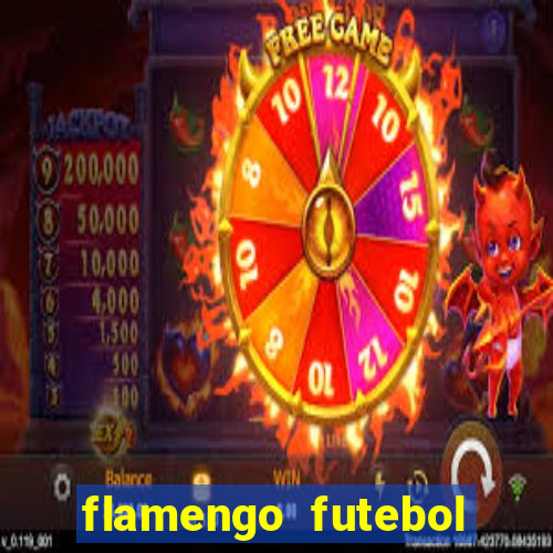flamengo futebol play hd