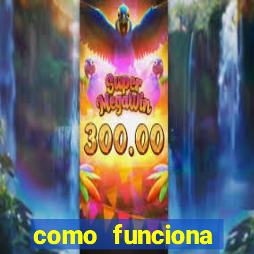 como funciona tarifa super bingo msc