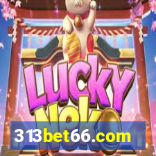 313bet66.com