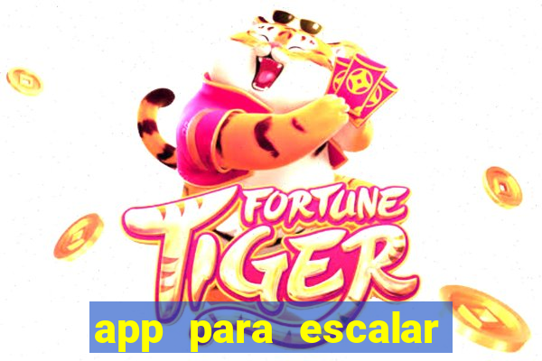 app para escalar time de futebol