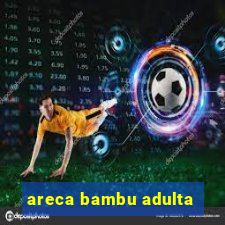areca bambu adulta