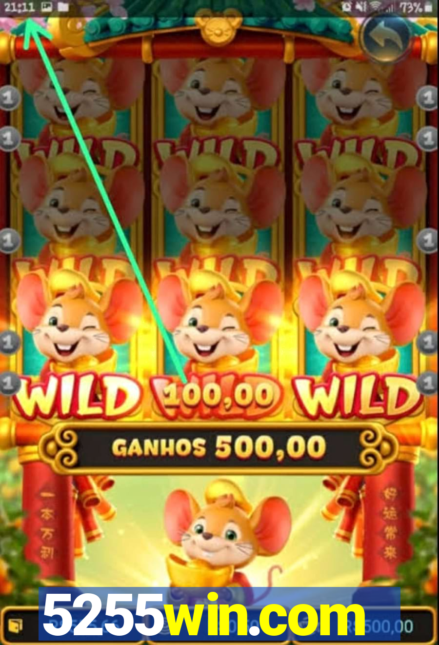 5255win.com