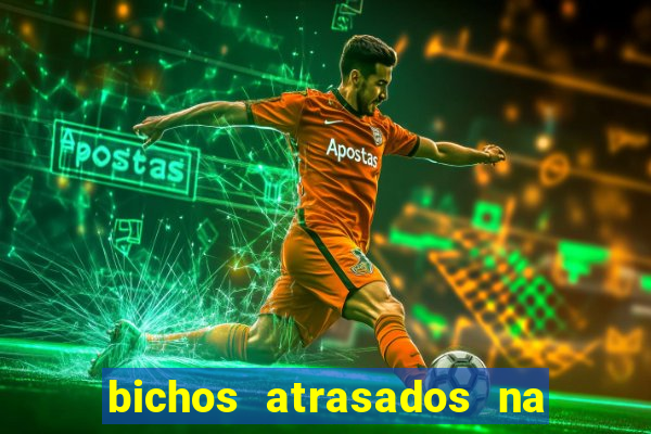bichos atrasados na loteria federal