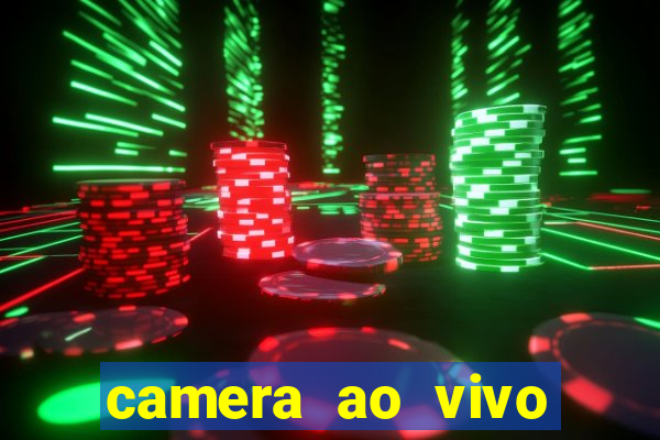camera ao vivo praia do forte bahia