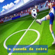 a puxada da cobra no jogo do bicho