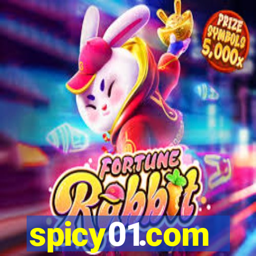 spicy01.com