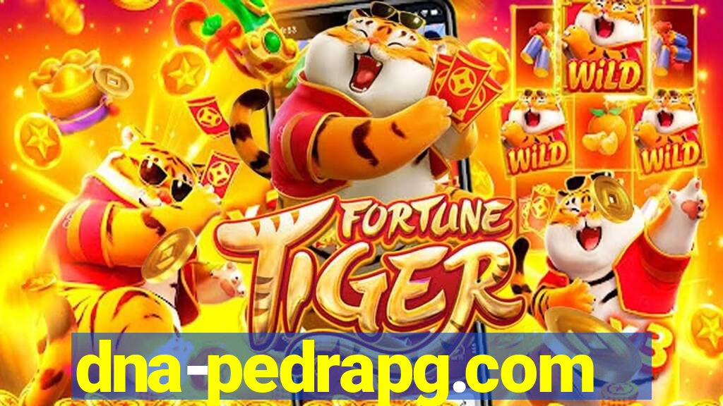 dna-pedrapg.com
