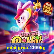 mini grua 1000kg