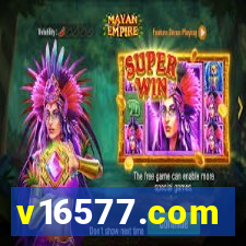 v16577.com