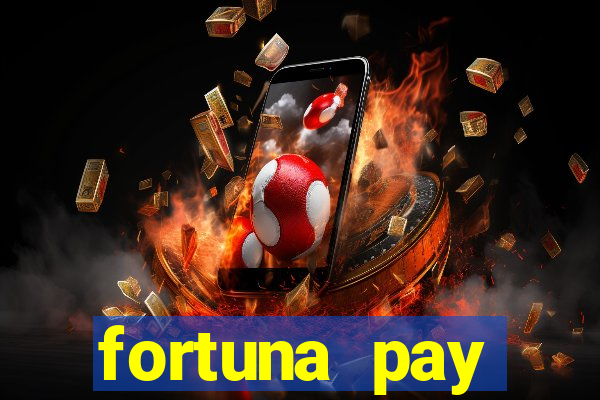 fortuna pay consultoria financeira ltda