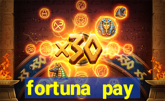 fortuna pay consultoria financeira ltda