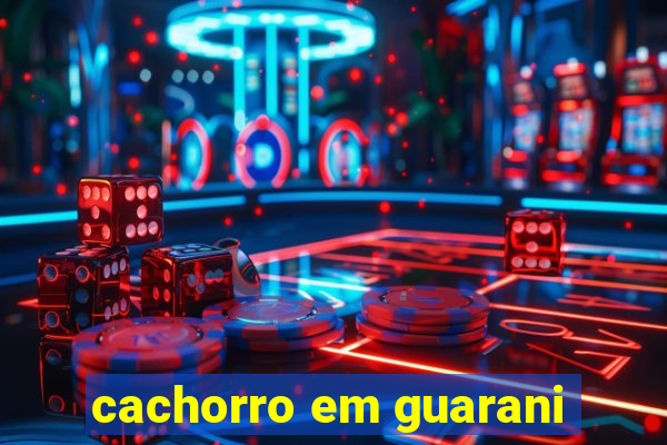 cachorro em guarani