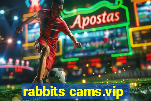 rabbits cams.vip