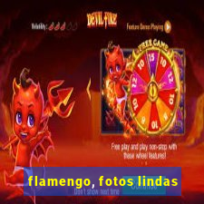 flamengo, fotos lindas