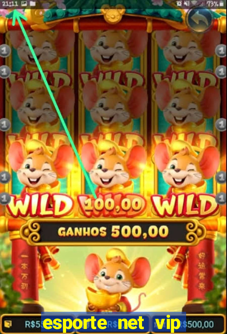 esporte net vip bet consultar bilhete