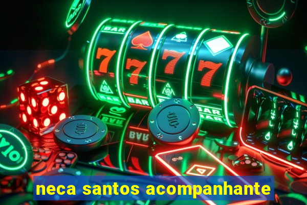 neca santos acompanhante