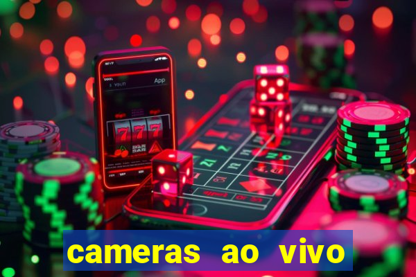 cameras ao vivo beto carrero