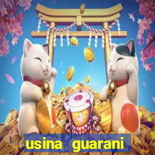 usina guarani tereos tanabi