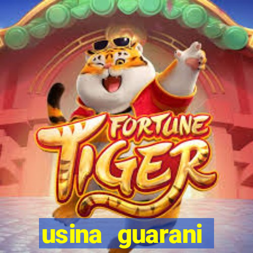 usina guarani tereos tanabi