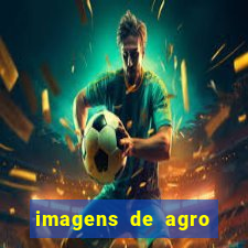 imagens de agro racoes guarani