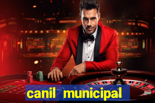 canil municipal porto alegre