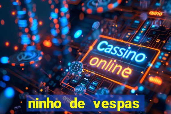 ninho de vespas significado espiritual
