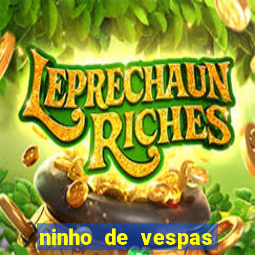 ninho de vespas significado espiritual