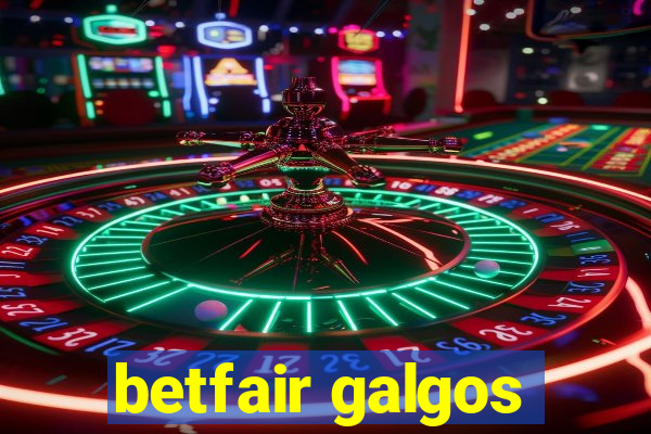 betfair galgos