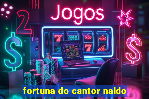 fortuna do cantor naldo