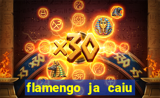 flamengo ja caiu para serie b