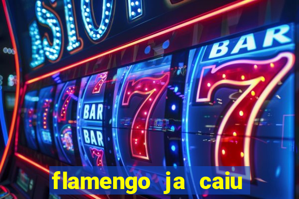 flamengo ja caiu para serie b