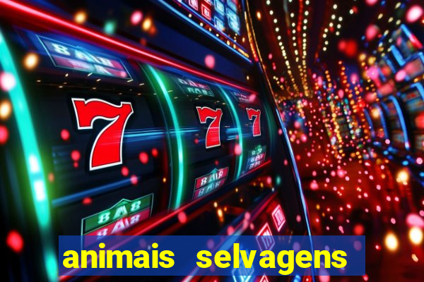 animais selvagens fotos e nomes