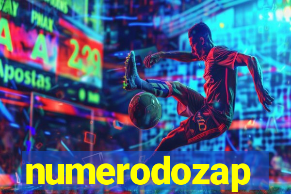 numerodozap