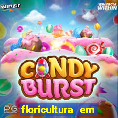 floricultura em franca sp