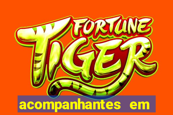 acompanhantes em nova mutum