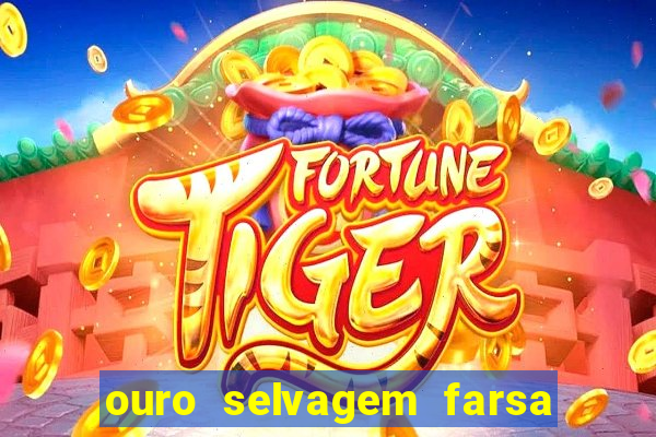 ouro selvagem farsa ouro selvagem o que aconteceu