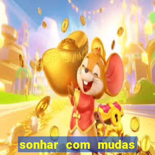 sonhar com mudas de plantas