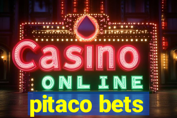 pitaco bets