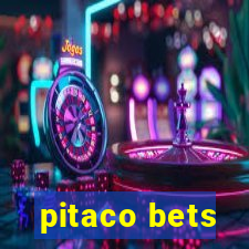 pitaco bets