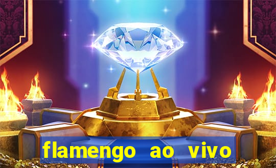 flamengo ao vivo multi tv