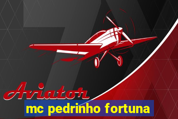 mc pedrinho fortuna
