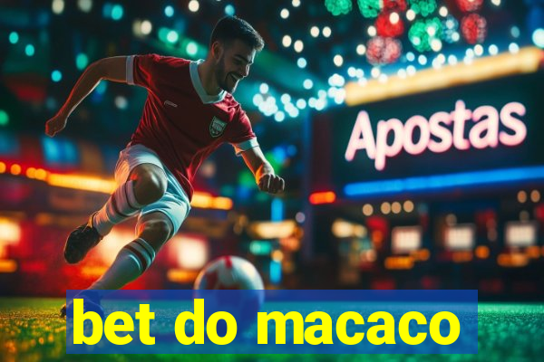 bet do macaco