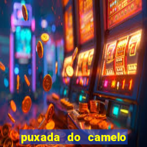 puxada do camelo jogo do bicho
