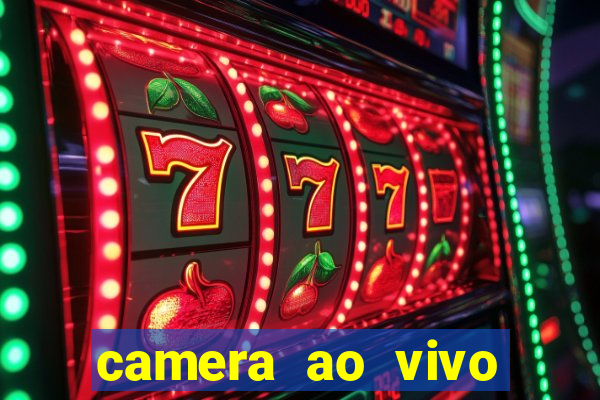 camera ao vivo porto rico