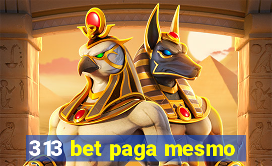 313 bet paga mesmo