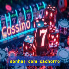 sonhar com cachorro numeros da mega sena