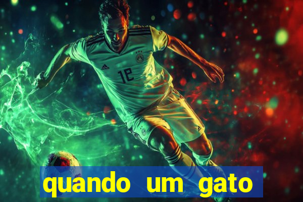 quando um gato aparece do nada significado espiritual